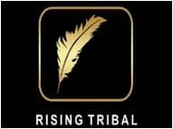 Eco Friendly Creative Articles